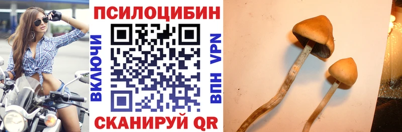 Псилоцибиновые грибы Magic Shrooms  купить   Йошкар-Ола 